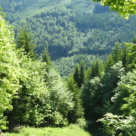 Bachrainhof 2 Апартаменты *