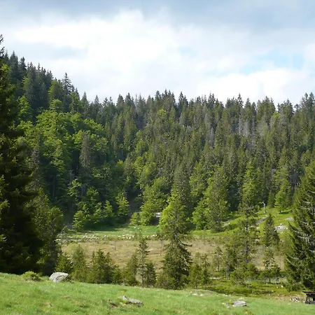 Bachrainhof 2 Менценшванд